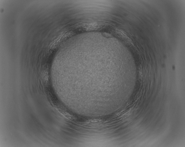 X0000068310691200605051531