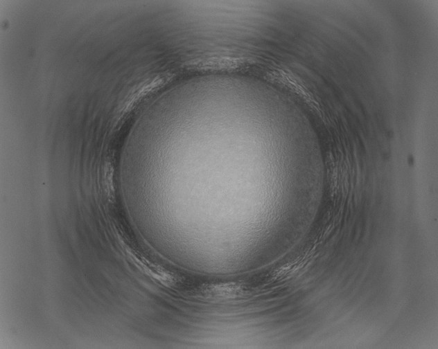 X0000068310692200605051531