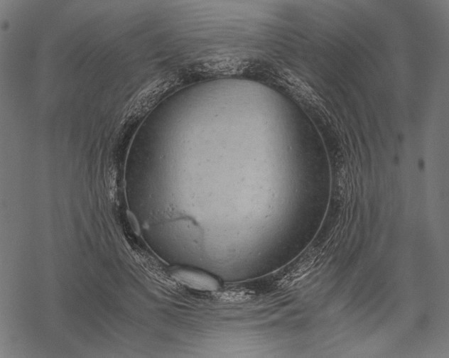 X0000068310693200605051531