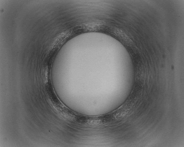 X0000068310694200605051531