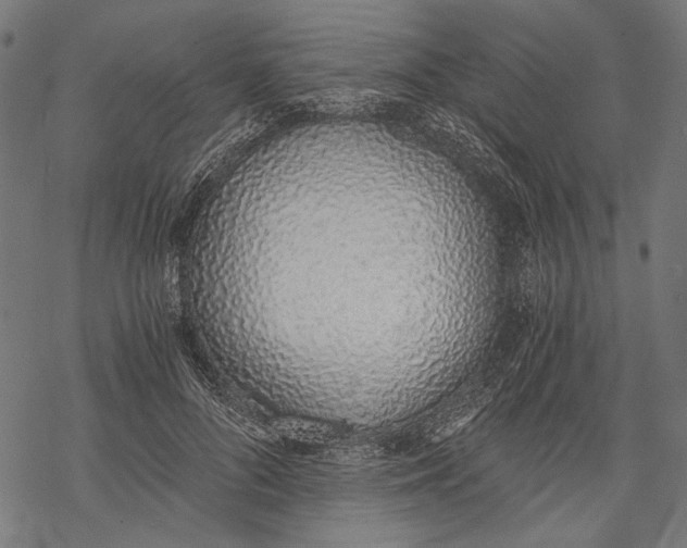 X0000068310696200605051531