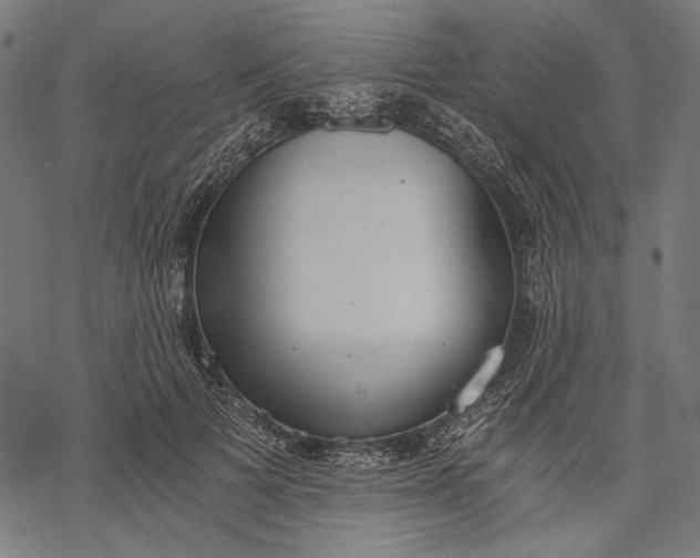 X0000068310697200605051531