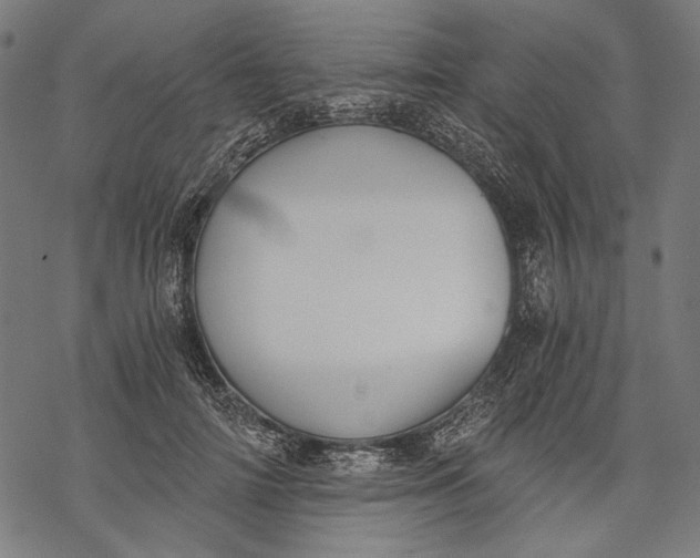 X0000068310698200605051531