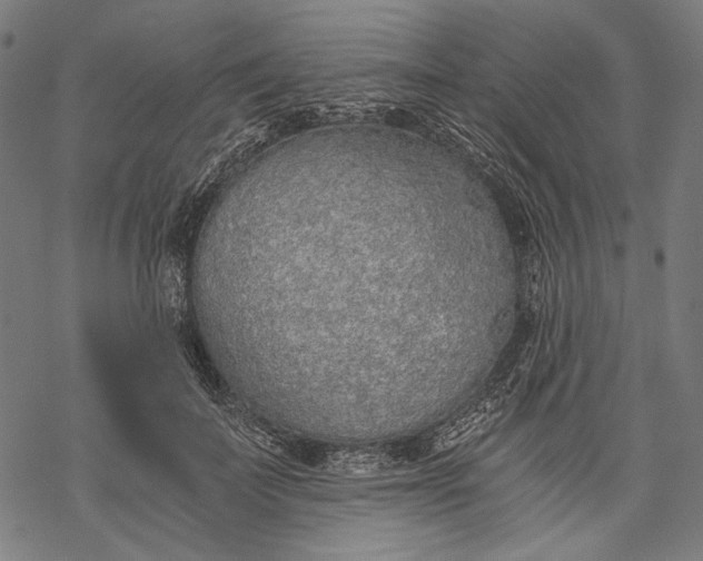 X0000068310699200605051531