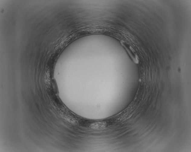 X0000068310700200605051531