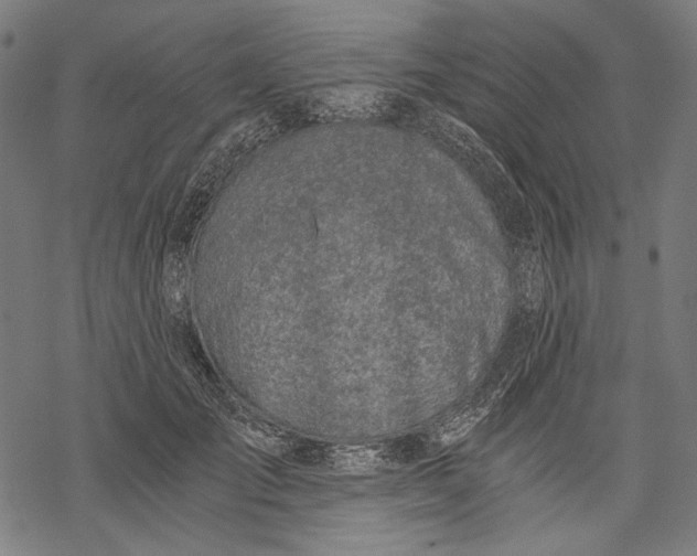 X0000068310701200605051531