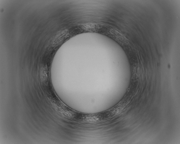 X0000068310702200605051531