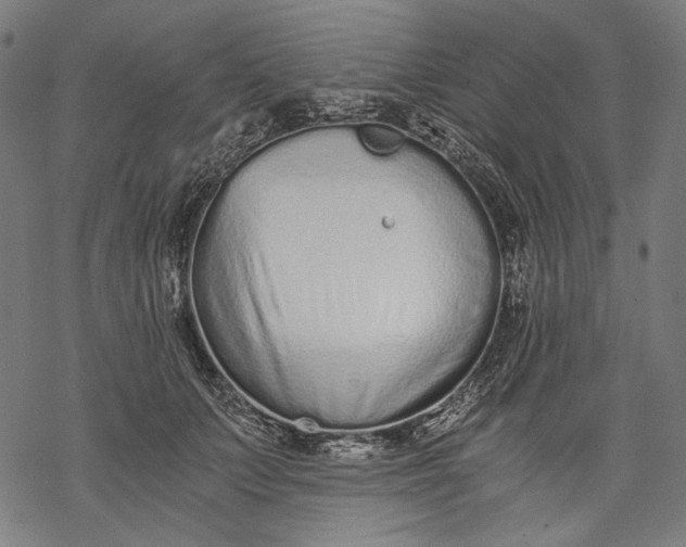 X0000068310703200605051531