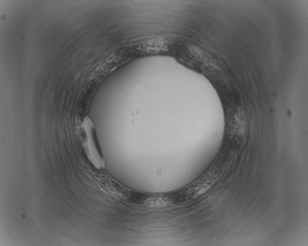 X0000068310704200605051531