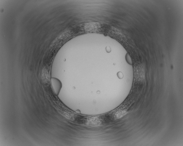 X0000068310705200605051531