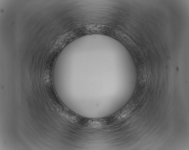 X0000068310706200605051531