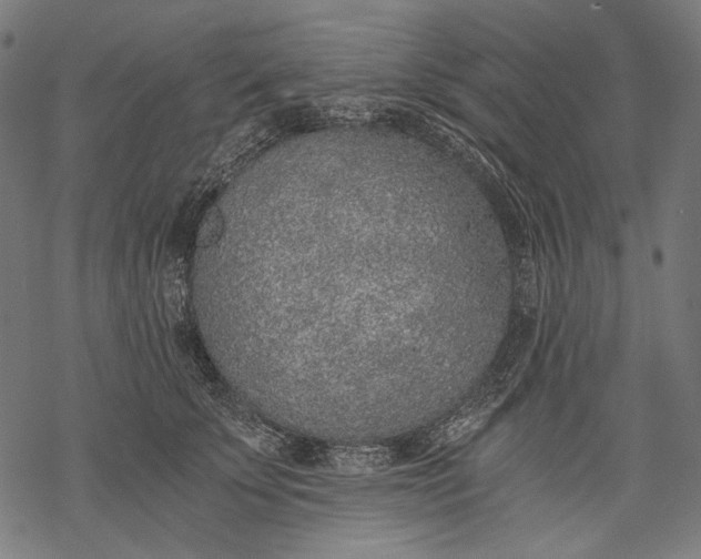 X0000068310707200605051531