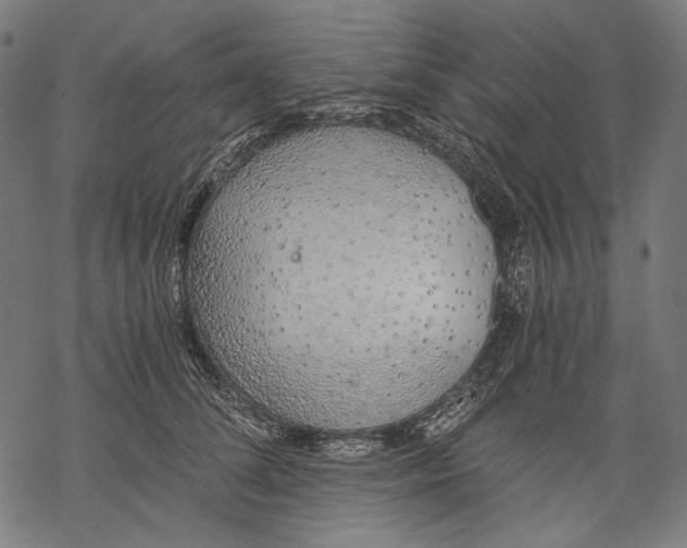 X0000068310708200605051531