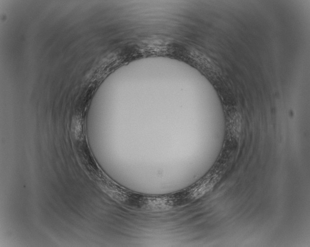 X0000068310709200605051531