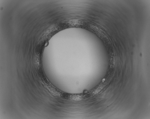 X0000068310710200605051531