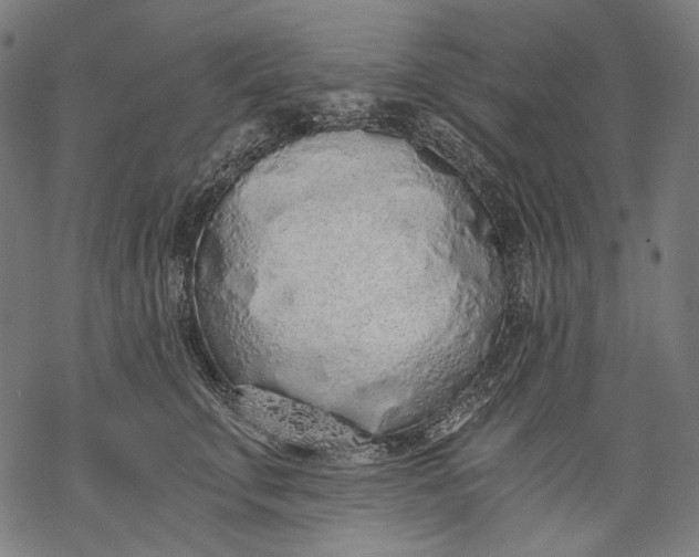 X0000068310711200605051531