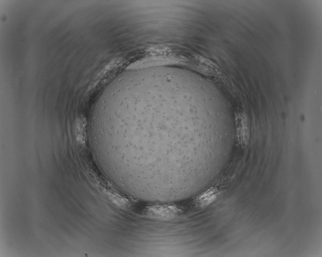 X0000068310712200605051531