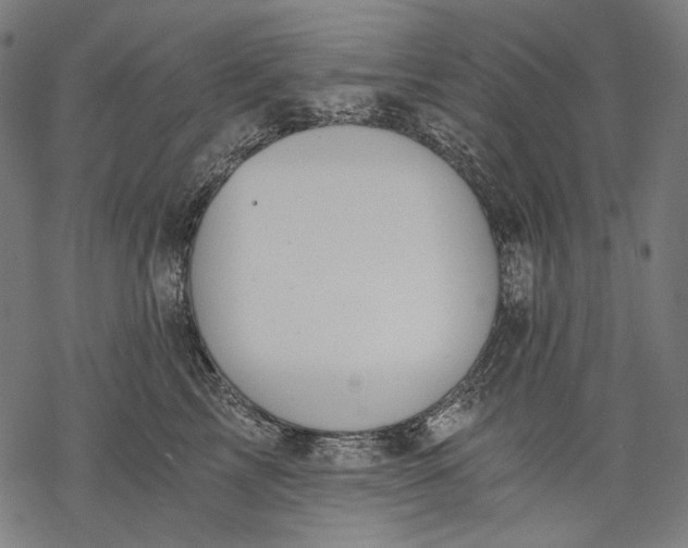 X0000068310713200605051531