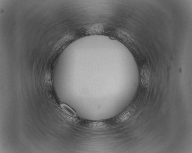 X0000068310714200605051531