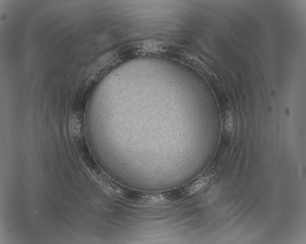 X0000068310715200605051531