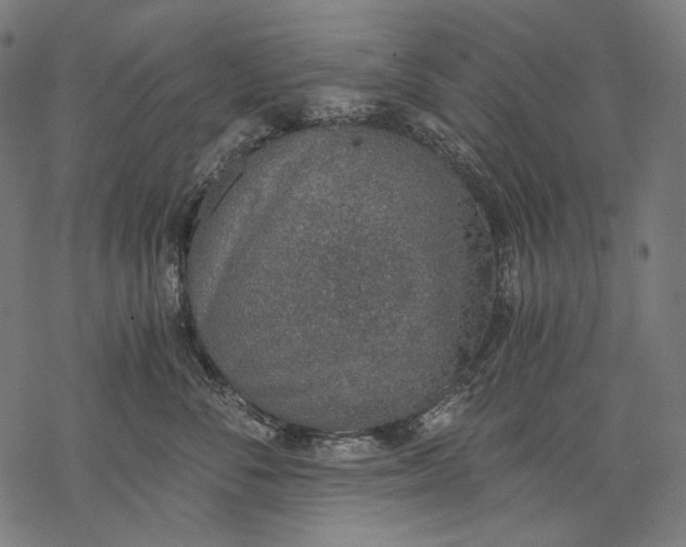 X0000068310716200605051531