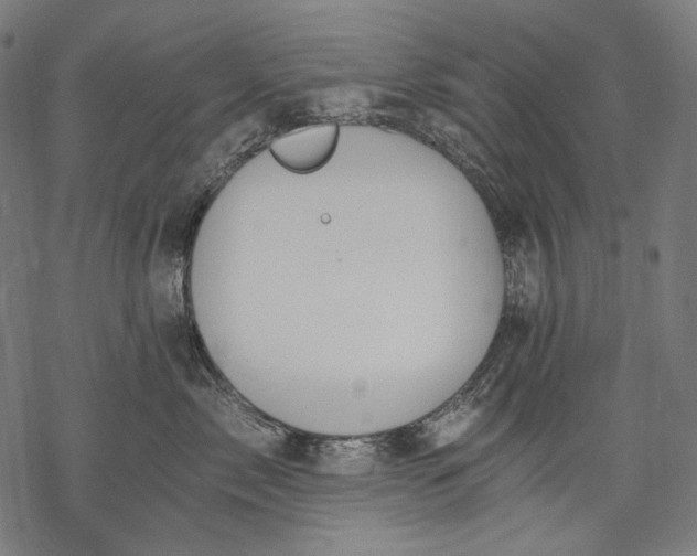 X0000068310717200605051531