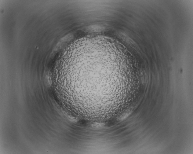 X0000068310718200605051531