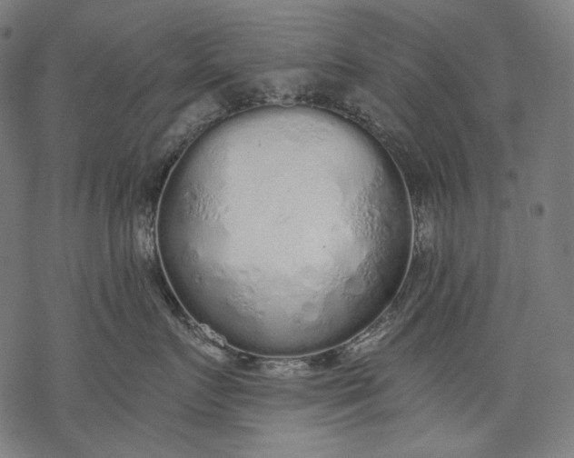 X0000068310719200605051531