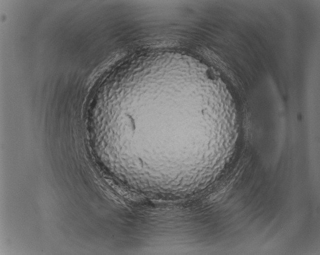 X0000068310721200605051530