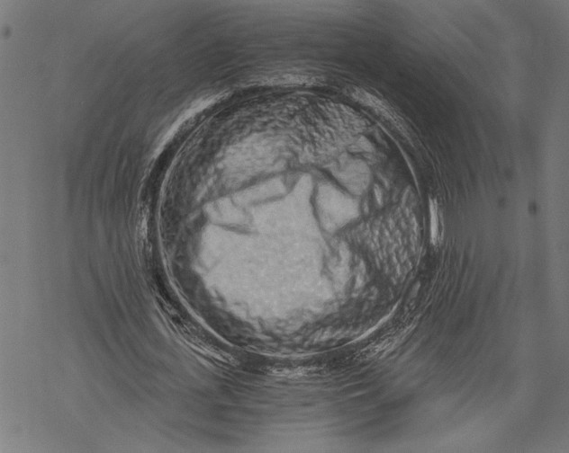 X0000068310723200605051530