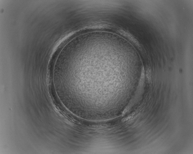 X0000068310724200605051530