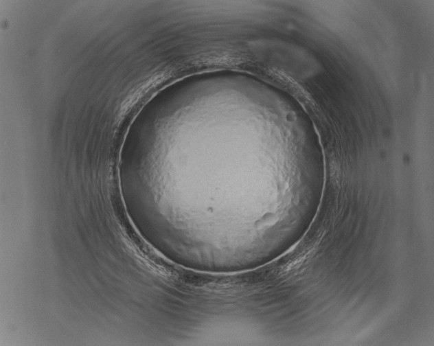 X0000068310725200605051530