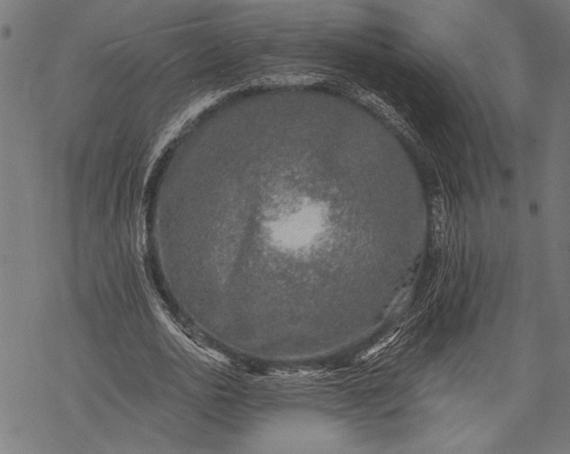 X0000068310726200605051530