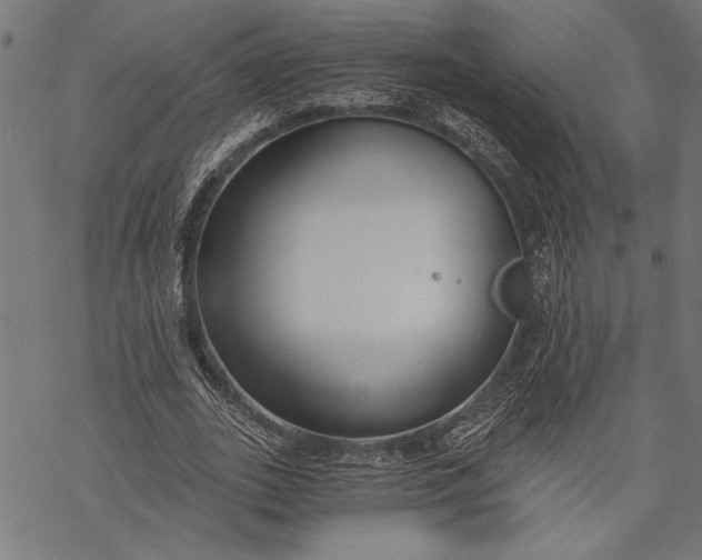 X0000068310727200605051530