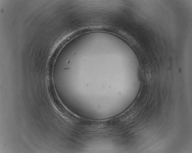 X0000068310728200605051530