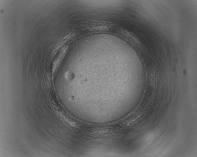 X0000068310729200605051530