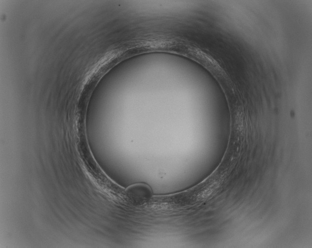 X0000068310730200605051530