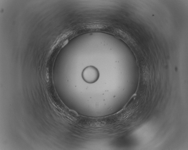 X0000068310731200605051530