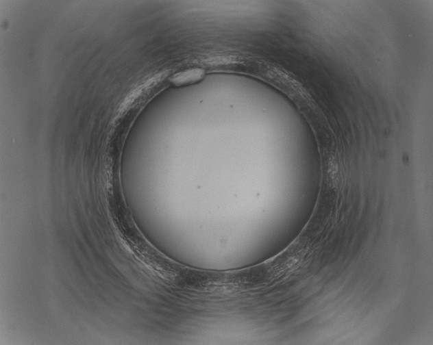 X0000068310732200605051530