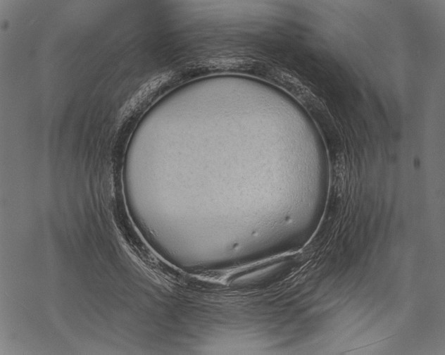 X0000068310734200605051530