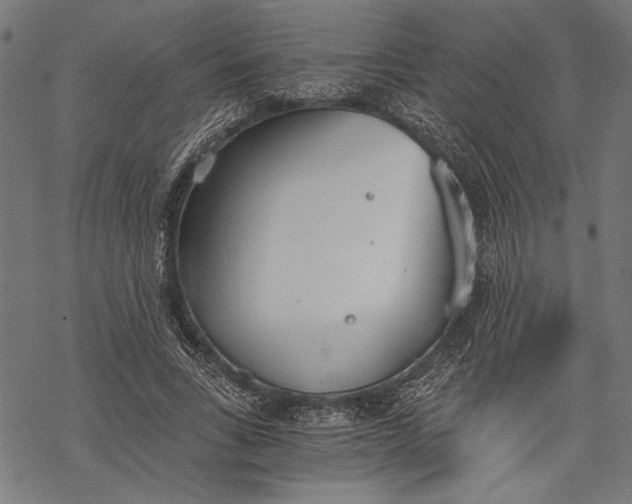 X0000068310735200605051530