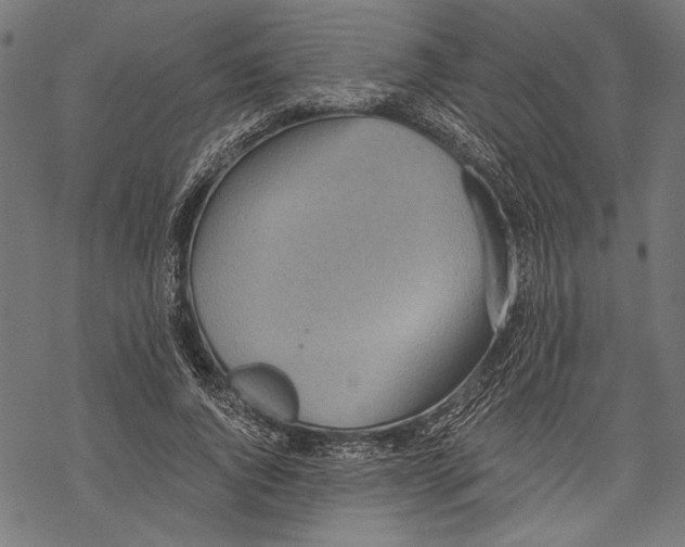 X0000068310736200605051530