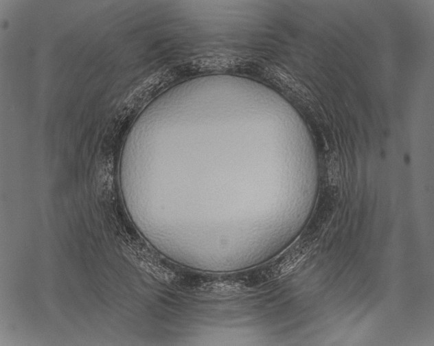 X0000068310737200605051530