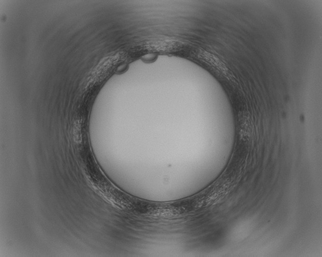 X0000068310738200605051530