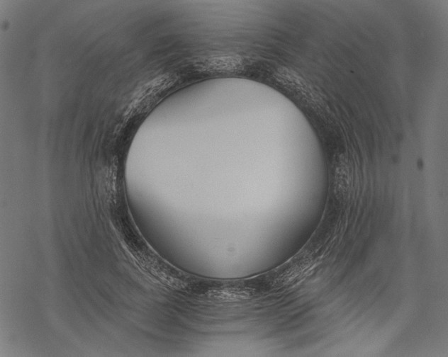 X0000068310739200605051530