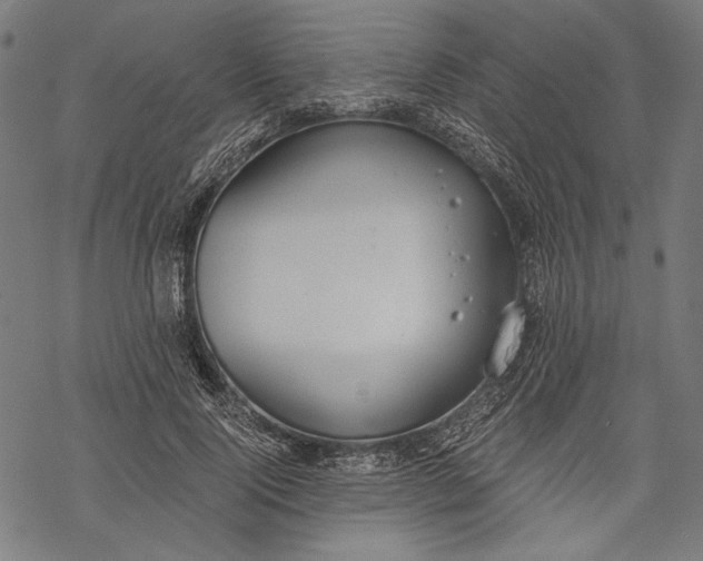 X0000068310740200605051530