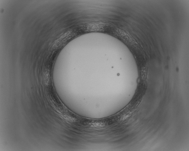 X0000068310741200605051530