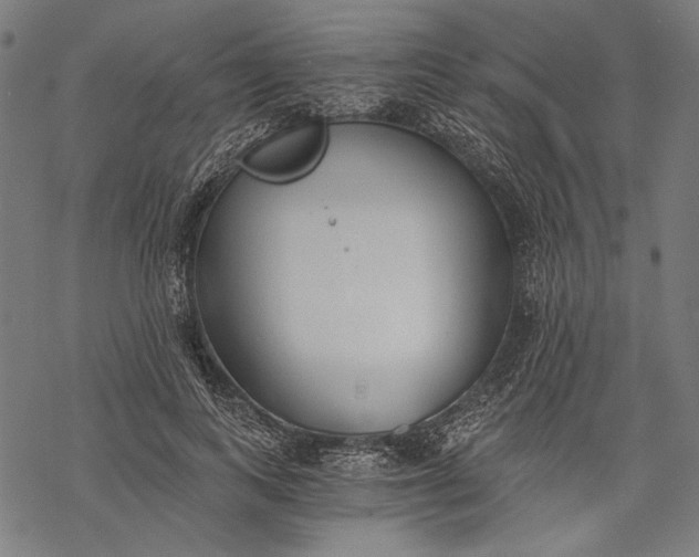 X0000068310743200605051530