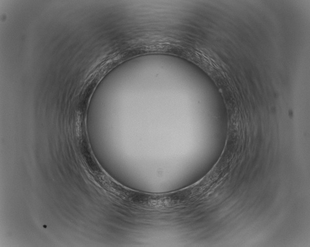 X0000068310744200605051530