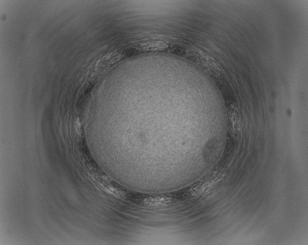 X0000068310745200605051530